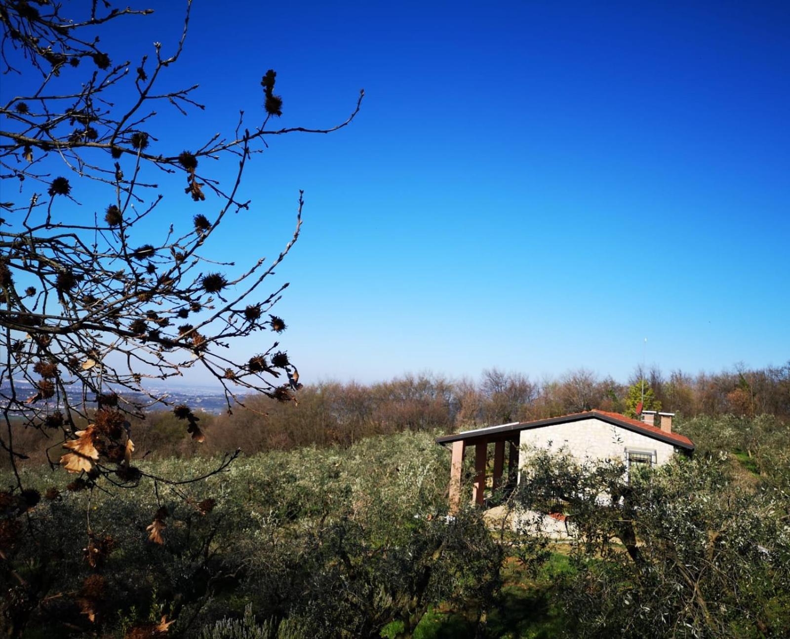 Agriturismo Bosco Magico Βερόνα Εξωτερικό φωτογραφία