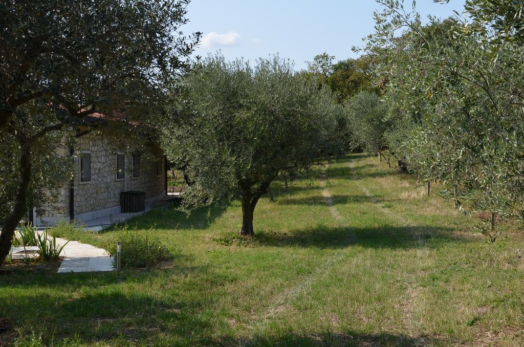 Agriturismo Bosco Magico Βερόνα Εξωτερικό φωτογραφία