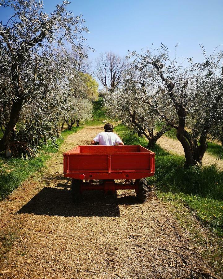 Agriturismo Bosco Magico Βερόνα Εξωτερικό φωτογραφία