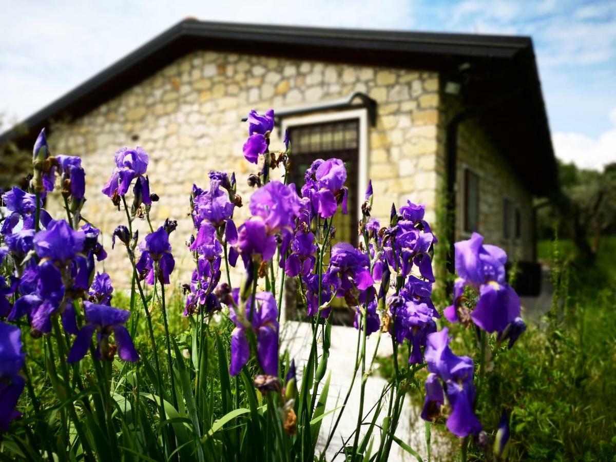 Agriturismo Bosco Magico Βερόνα Εξωτερικό φωτογραφία