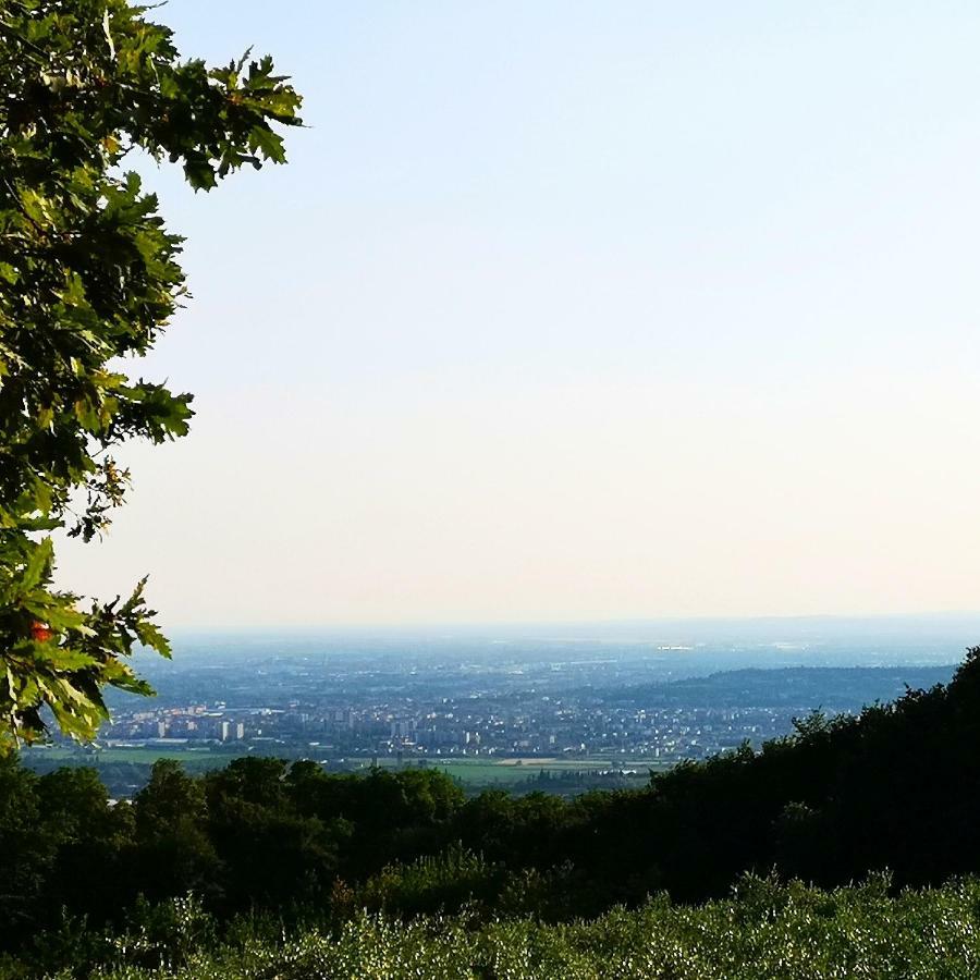 Agriturismo Bosco Magico Βερόνα Εξωτερικό φωτογραφία