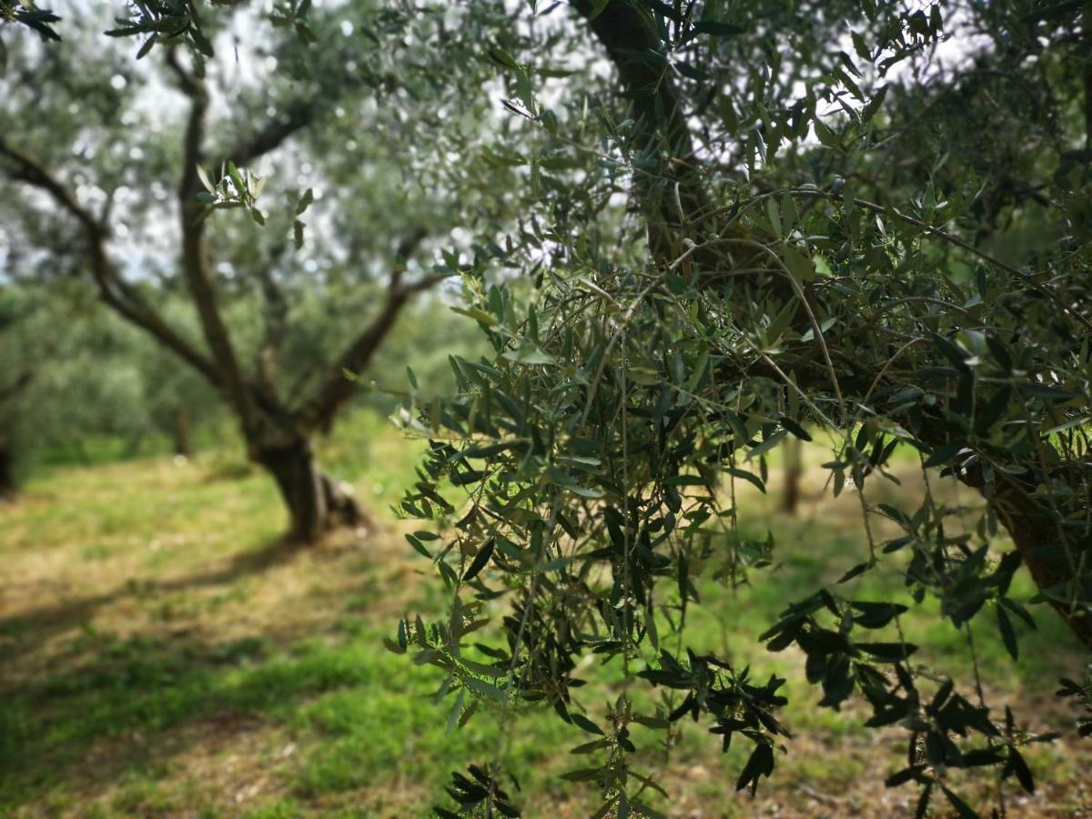 Agriturismo Bosco Magico Βερόνα Εξωτερικό φωτογραφία